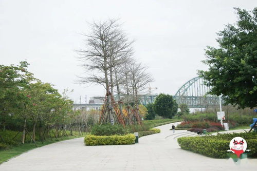 福州市内公园那里好玩
