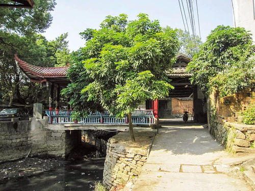 夏天福州仓山哪里好玩的
