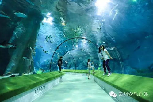 福州湾海洋世界游玩攻略