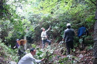 福州古道徒步路线攻略