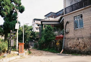 福州鼓岭哪里最好玩