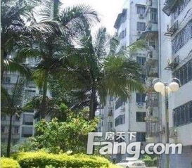 福州城南小筑租房攻略