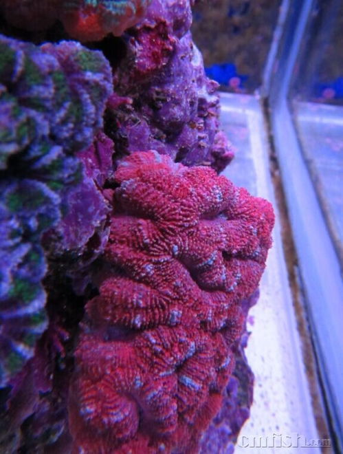 按摩福州哪家好玩的多点