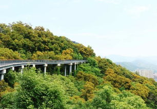 福州有什么山更好玩