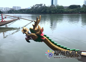 福州西湖划龙舟好玩吗