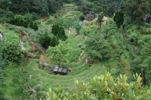 福州龙泉好玩地方在哪里