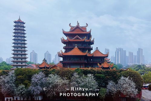 福州省旅游攻略有哪些