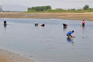 福州入海口赶海攻略