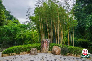 福州探宝溪游玩攻略
