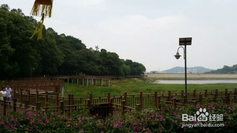 福州今天哪里旅游好玩
