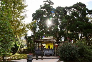 福州州旅游攻略自由行