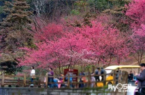 11月去福州哪里好玩