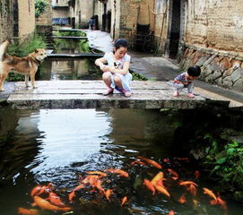 福州兰圃村最近哪里好玩