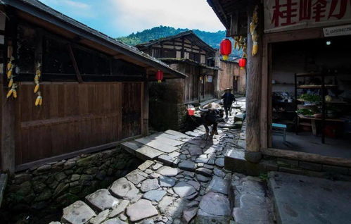 福州石板路旅游攻略
