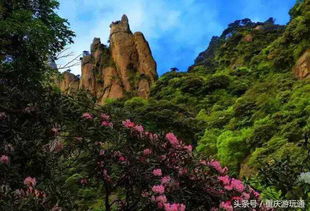 福州井冈山旅游攻略