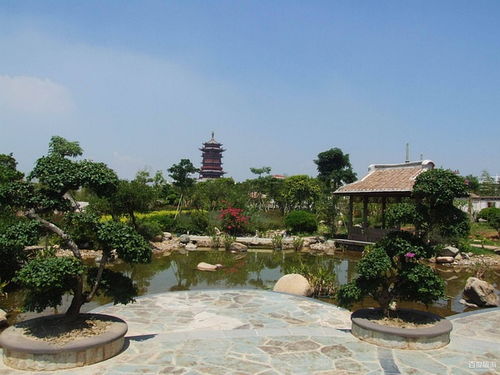 厦门周边城市旅游攻略