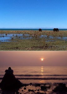 青海湖旅游攻略厦门