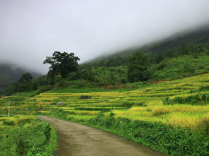 庐山西海旅游攻略厦门