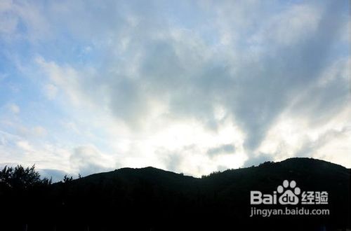 南湾猴岛旅游攻略厦门