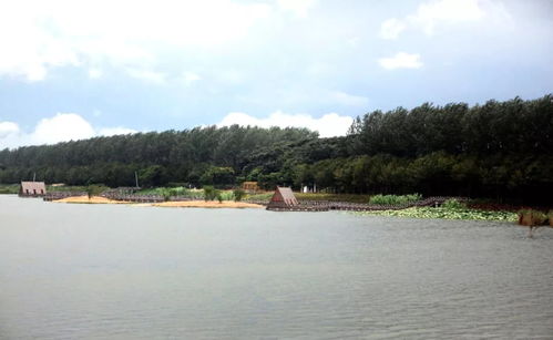 洪泽旅游攻略厦门