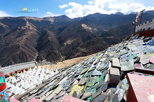阳春旅游攻略厦门