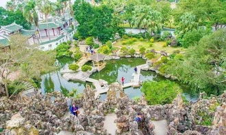 厦门旅游攻略松柏