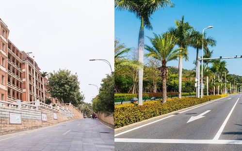 厦门保姆旅游攻略