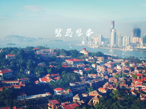厦门短时旅游攻略