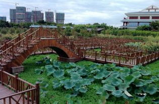 厦门湿地旅游攻略路线