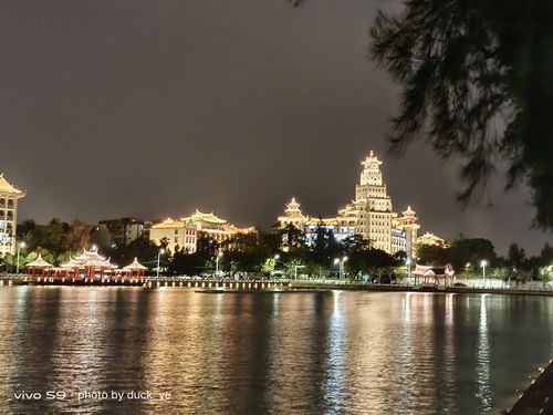 晚上去厦门攻略旅游