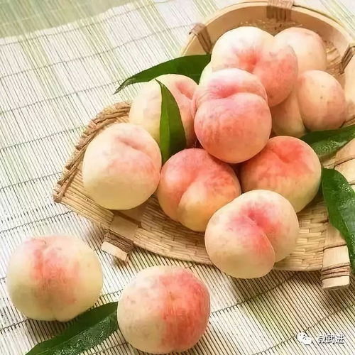 福州特产桃子冰淇淋
