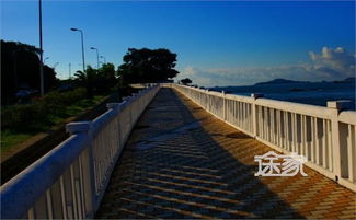 过年厦门旅游攻略住宿