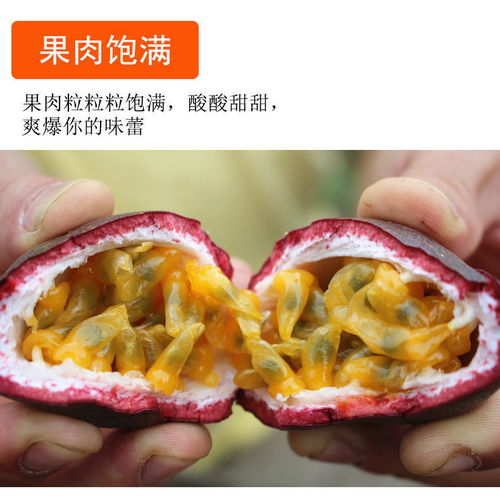 福州 特产水果新鲜