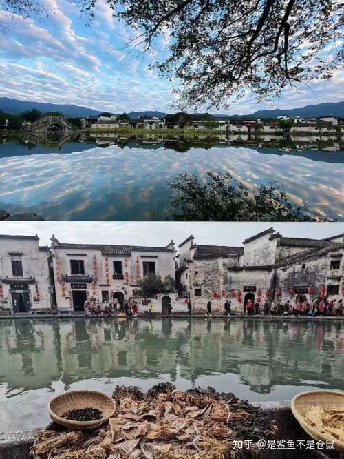 厦门安徽江西旅游攻略