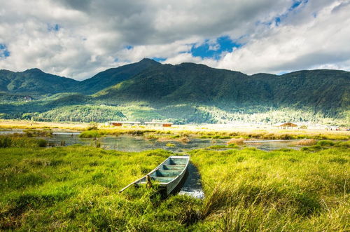 腾冲旅游攻略厦门拍照