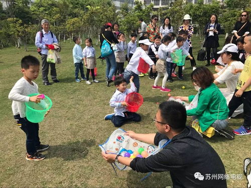 幼儿园春游游戏有哪些