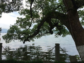 厦门梅雨旅游攻略图