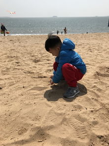 厦门旅游攻略带爸妈