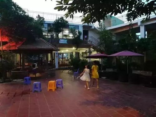 自助烧烤厦门攻略旅游