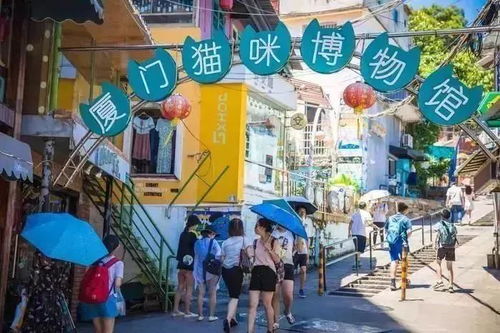 厦门旅游攻略直播房源