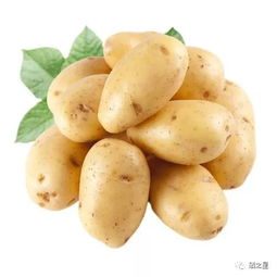 福州特产土豆丸批发