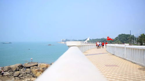 漳浦旅游攻略厦门美食