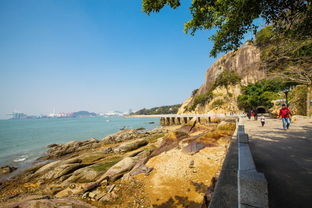 过年想去厦门旅游攻略