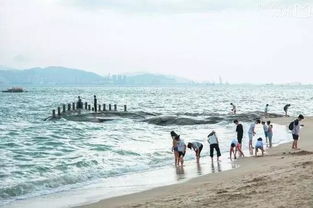 女朋友厦门旅游攻略