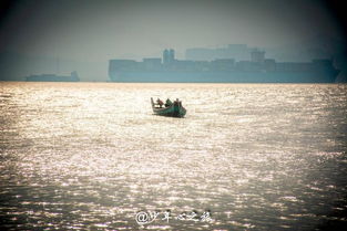 厦门台风过后旅游攻略