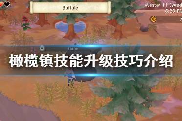 游戏愿望攻略