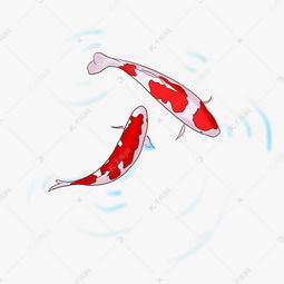 福州特产锦鲤手绘海报