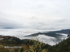 厦门至尤溪旅游攻略