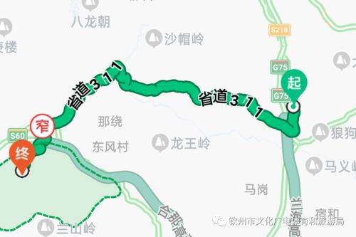 厦门乐山旅游攻略路线
