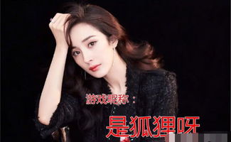 有明星的游戏有哪些